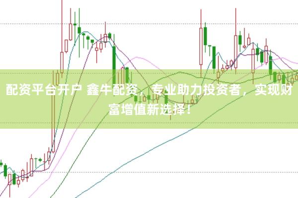 配资平台开户 鑫牛配资，专业助力投资者，实现财富增值新选择！