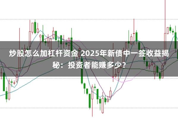 炒股怎么加杠杆资金 2025年新债中一签收益揭秘：投资者能赚多少？