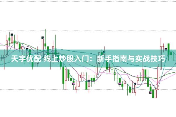 天宇优配 线上炒股入门：新手指南与实战技巧