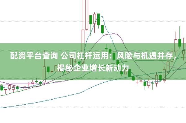 配资平台查询 公司杠杆运用：风险与机遇并存，揭秘企业增长新动力
