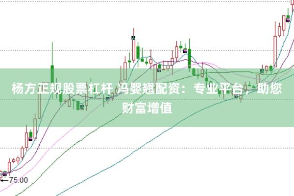杨方正规股票杠杆 冯婴翘配资：专业平台，助您财富增值