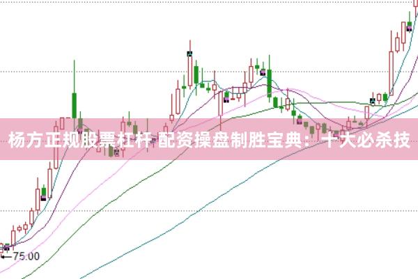 杨方正规股票杠杆 配资操盘制胜宝典：十大必杀技