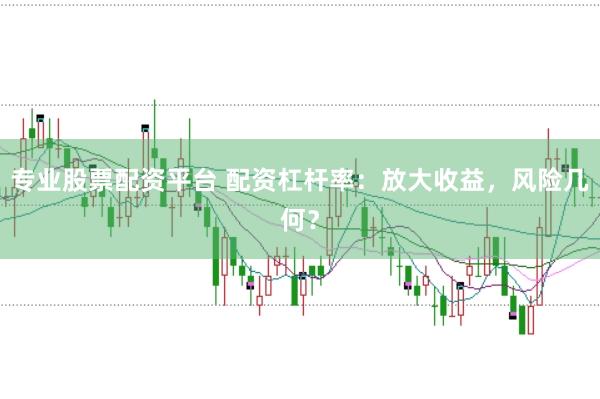 专业股票配资平台 配资杠杆率：放大收益，风险几何？