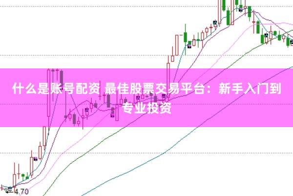 什么是账号配资 最佳股票交易平台：新手入门到专业投资