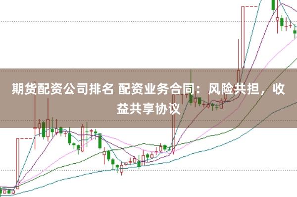 期货配资公司排名 配资业务合同：风险共担，收益共享协议
