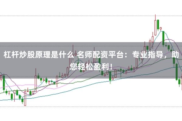 杠杆炒股原理是什么 名师配资平台：专业指导，助您轻松盈利！
