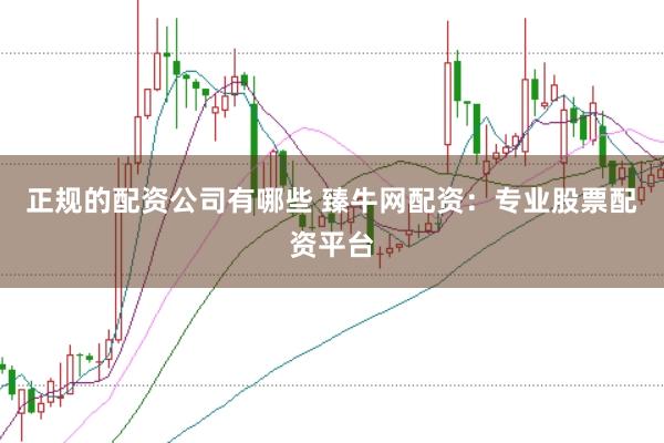 正规的配资公司有哪些 臻牛网配资：专业股票配资平台