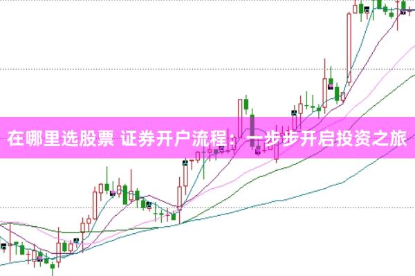 在哪里选股票 证券开户流程：一步步开启投资之旅