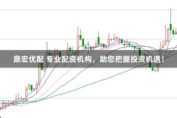 鼎宏优配 专业配资机构，助您把握投资机遇！