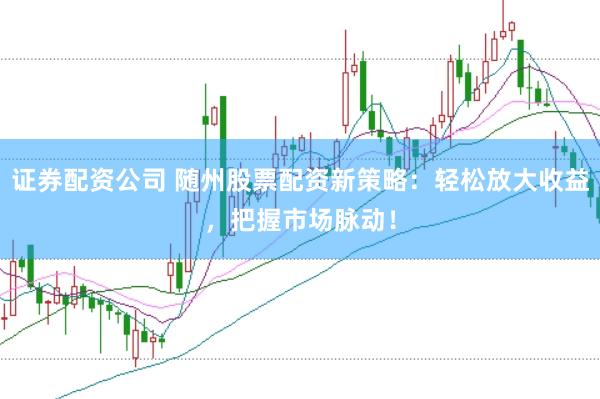 证券配资公司 随州股票配资新策略：轻松放大收益，把握市场脉动！