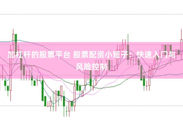 加杠杆的股票平台 股票配资小短子：快速入门与风险控制