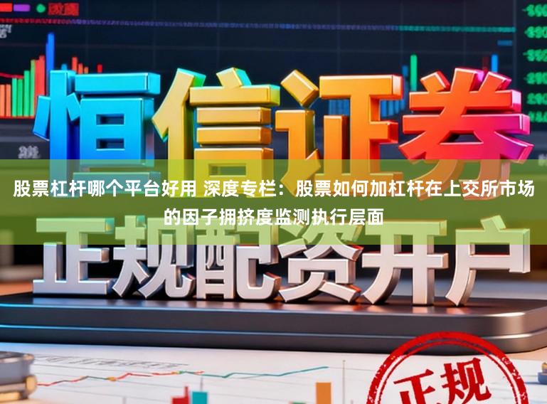 股票杠杆哪个平台好用 深度专栏：股票如何加杠杆在上交所市场的因子拥挤度监测执行层面