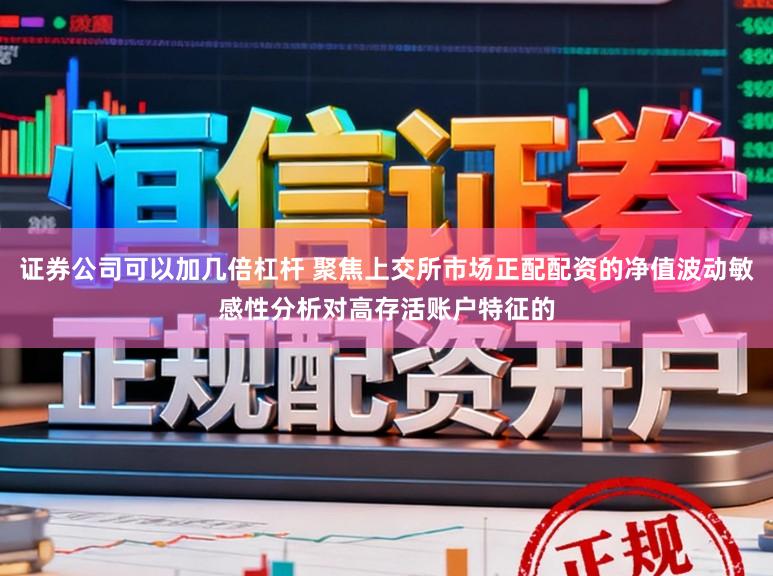 证券公司可以加几倍杠杆 聚焦上交所市场正配配资的净值波动敏感性分析对高存活账户特征的